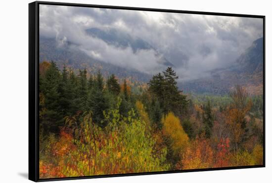 Autumn Wonderland at White Mountain, New Hampshire-Vincent James-Framed Stretched Canvas