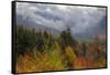 Autumn Wonderland at White Mountain, New Hampshire-Vincent James-Framed Stretched Canvas