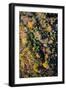 Autumn Wood, Aerial Shots, Bavaria, Germany-Frank Fleischmann-Framed Photographic Print