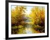 Autumn Wood Lake With Trees And Bushes-balaikin2009-Framed Art Print