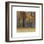 Autumn Wood-Arzt-Framed Giclee Print