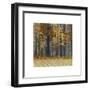 Autumn Wood-Arzt-Framed Giclee Print