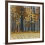 Autumn Wood-Arzt-Framed Giclee Print