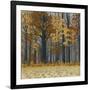 Autumn Wood-Arzt-Framed Giclee Print