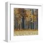 Autumn Wood-Timothy Arzt-Framed Art Print