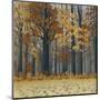 Autumn Wood-Timothy Arzt-Mounted Art Print