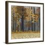 Autumn Wood-Timothy Arzt-Framed Art Print