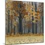 Autumn Wood-Timothy Arzt-Mounted Art Print