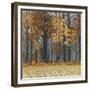Autumn Wood-Timothy Arzt-Framed Art Print