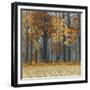 Autumn Wood-Timothy Arzt-Framed Art Print