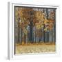 Autumn Wood-Timothy Arzt-Framed Art Print