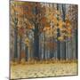 Autumn Wood-Timothy Arzt-Mounted Art Print