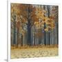 Autumn Wood-Timothy Arzt-Framed Art Print