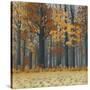 Autumn Wood-Timothy Arzt-Stretched Canvas