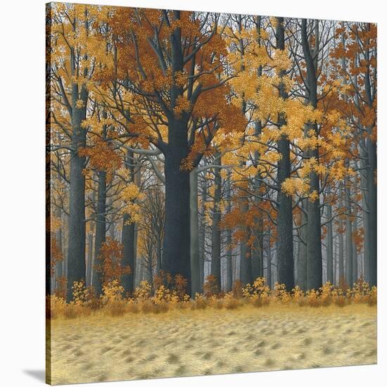 Autumn Wood-Timothy Arzt-Stretched Canvas