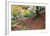 Autumn Woodland at Macintosh Park in Knaresboroug-Mark Sunderland-Framed Photographic Print