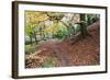 Autumn Woodland at Macintosh Park in Knaresboroug-Mark Sunderland-Framed Photographic Print