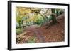 Autumn Woodland at Macintosh Park in Knaresboroug-Mark Sunderland-Framed Photographic Print