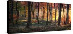 Autumn Woodland Sunrise-null-Stretched Canvas