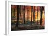 Autumn Woodland Sunrise-Photokes-Framed Photographic Print