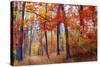 Autumn Woodland-Jessica Jenney-Stretched Canvas