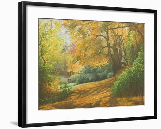 Autumn Woodlands, Kent, 2011-Peter Breeden-Framed Giclee Print