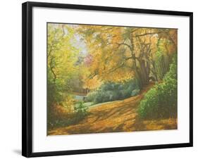 Autumn Woodlands, Kent, 2011-Peter Breeden-Framed Giclee Print