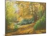 Autumn Woodlands, Kent, 2011-Peter Breeden-Mounted Giclee Print