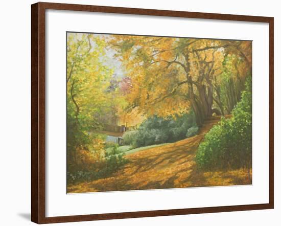 Autumn Woodlands, Kent, 2011-Peter Breeden-Framed Giclee Print