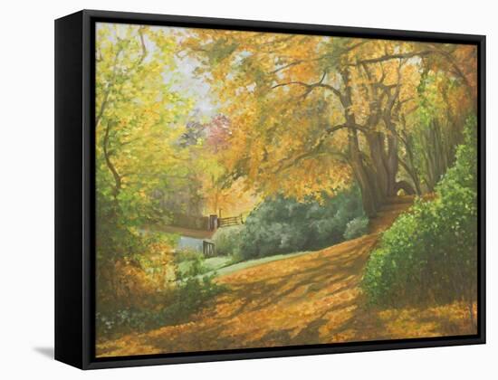Autumn Woodlands, Kent, 2011-Peter Breeden-Framed Stretched Canvas