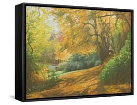 Autumn Woodlands, Kent, 2011-Peter Breeden-Framed Stretched Canvas