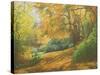 Autumn Woodlands, Kent, 2011-Peter Breeden-Stretched Canvas