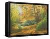 Autumn Woodlands, Kent, 2011-Peter Breeden-Framed Stretched Canvas