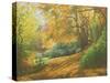 Autumn Woodlands, Kent, 2011-Peter Breeden-Stretched Canvas