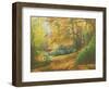 Autumn Woodlands, Kent, 2011-Peter Breeden-Framed Giclee Print