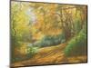 Autumn Woodlands, Kent, 2011-Peter Breeden-Mounted Giclee Print