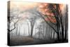 Autumn Woods-PhotoINC-Stretched Canvas