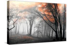 Autumn Woods-PhotoINC-Stretched Canvas