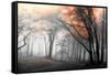 Autumn Woods-PhotoINC-Framed Stretched Canvas