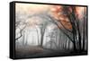 Autumn Woods-PhotoINC-Framed Stretched Canvas