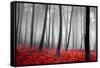 Autumn Woods-PhotoINC-Framed Stretched Canvas