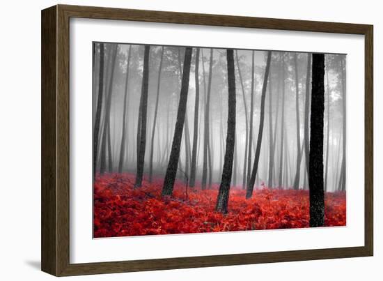 Autumn Woods-PhotoINC-Framed Premium Photographic Print