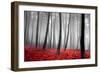 Autumn Woods-PhotoINC-Framed Premium Photographic Print