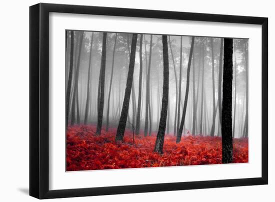 Autumn Woods-PhotoINC-Framed Premium Photographic Print