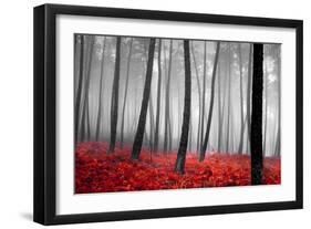 Autumn Woods-PhotoINC-Framed Premium Photographic Print