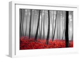 Autumn Woods-PhotoINC-Framed Premium Photographic Print