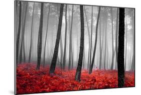 Autumn Woods-PhotoINC-Mounted Premium Photographic Print