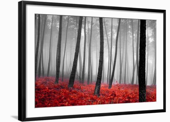 Autumn Woods-PhotoINC-Framed Premium Photographic Print