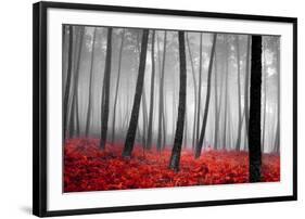 Autumn Woods-PhotoINC-Framed Premium Photographic Print