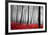 Autumn Woods-PhotoINC-Framed Premium Photographic Print